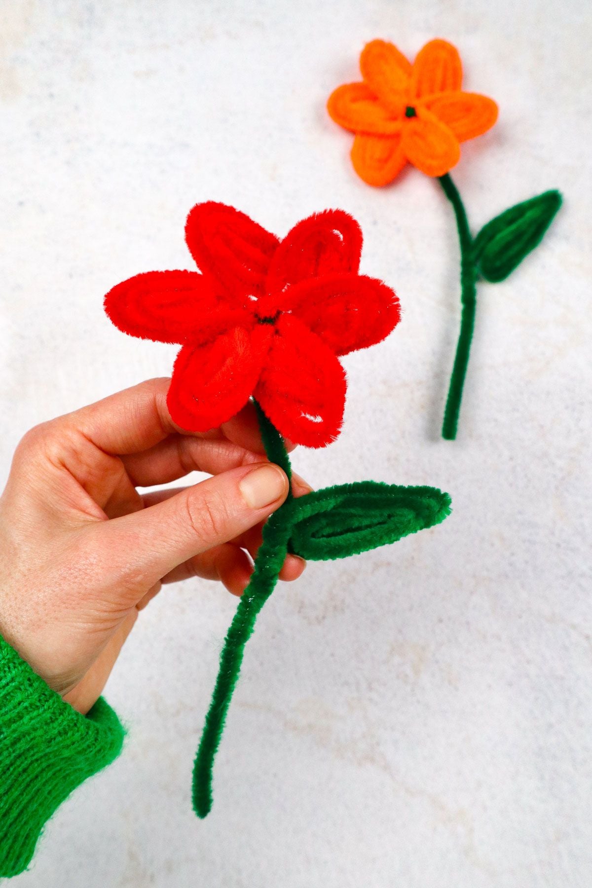 Pipe Cleaner Bouquet