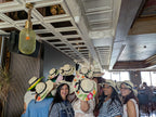 Hat Painting